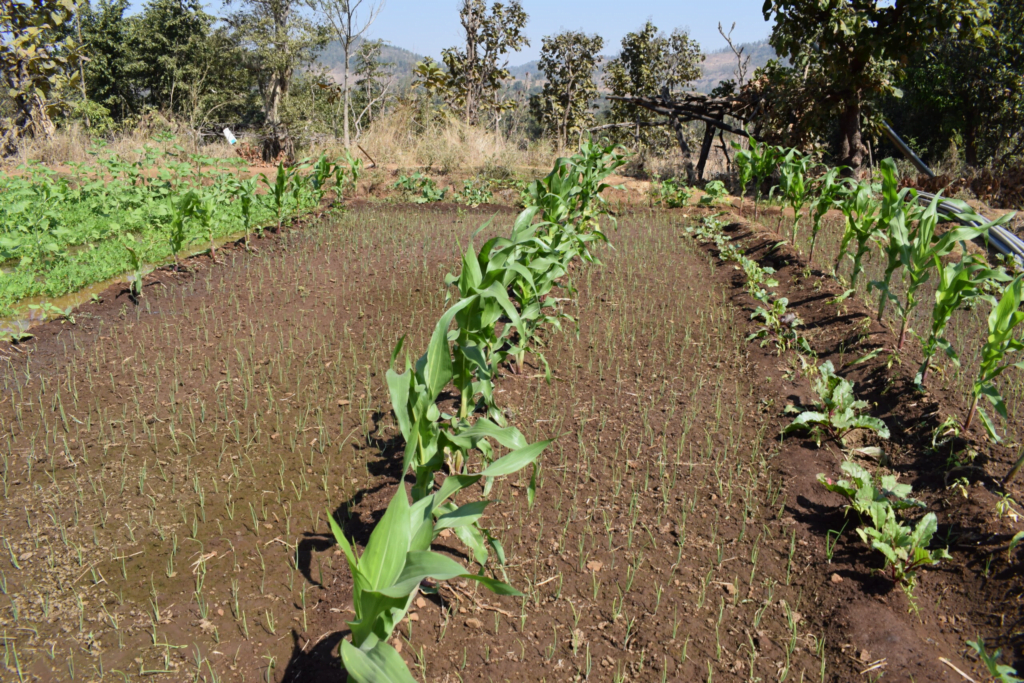 Department of Agriculture, Cooperation and Farmer’s Wellbeing Annual Report (2020-2021)