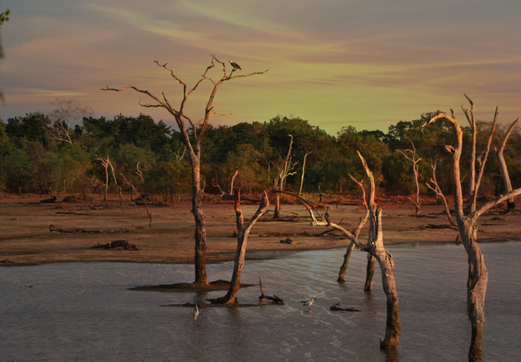 A Nation-wide Campaign to Promote Efficient Water Management