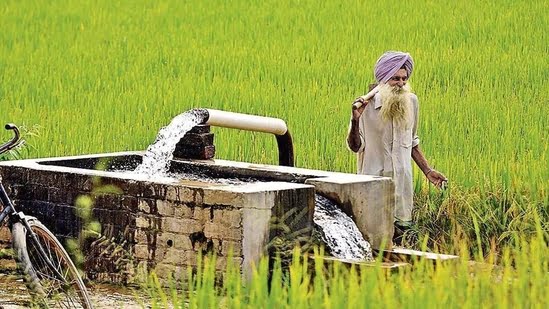 If Indian agriculture has to have a future, it needs to have a future-oriented policy outlook. (HT File)